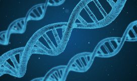 DNA