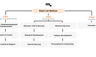 Organogram SURF