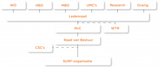 Organogram SURF