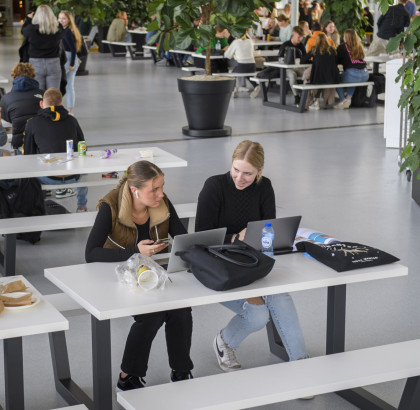 studenten zitten in een kantine achter hun laptop te werken